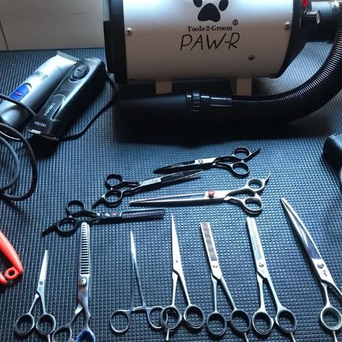hondentrimsalon alkmaar